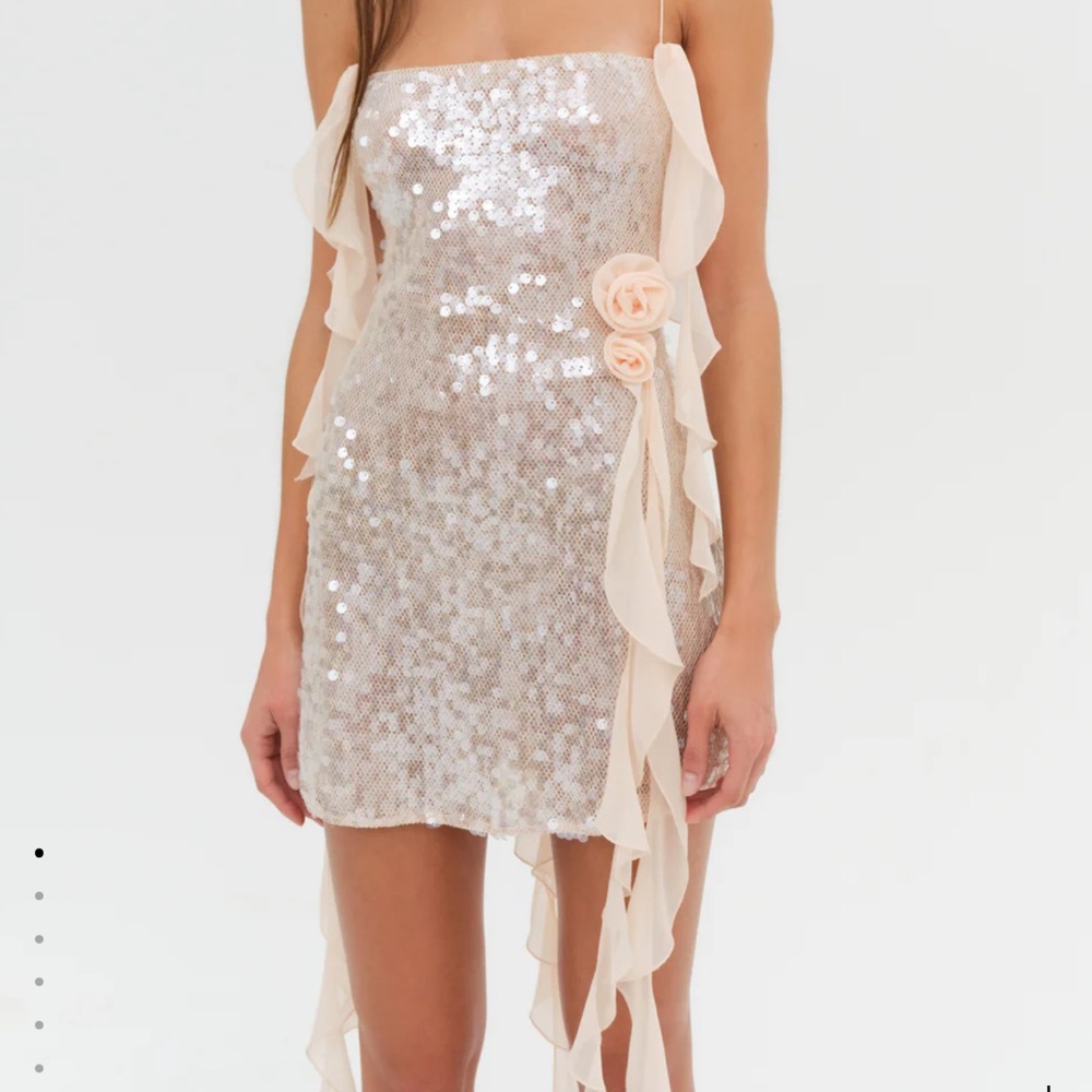 For Love & Lemons Sequin Dress